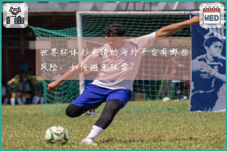 世界杯体彩竞猜的海外平台有哪些风险，如何避免踩雷？