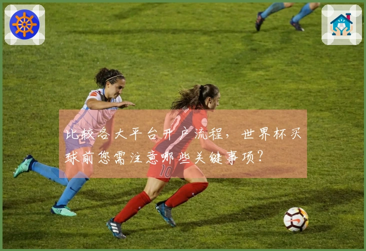 比较各大平台开户流程，世界杯买球前您需注意哪些关键事项？