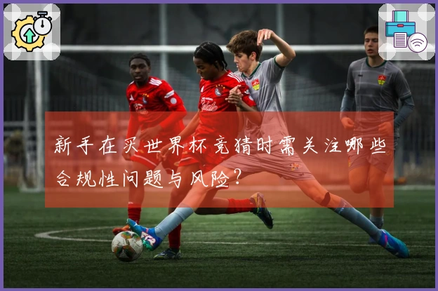 新手在买世界杯竞猜时需关注哪些合规性问题与风险？