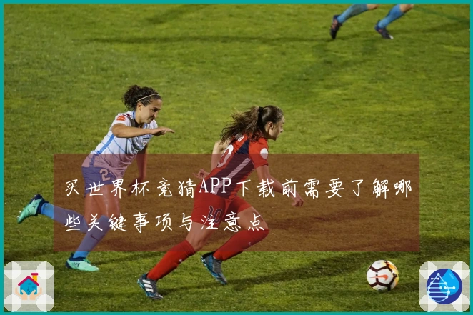 买世界杯竞猜APP下载前需要了解哪些关键事项与注意点