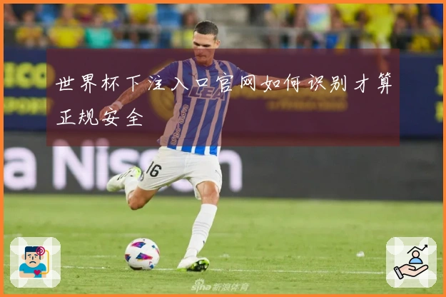 世界杯下注入口官网如何识别才算正规安全