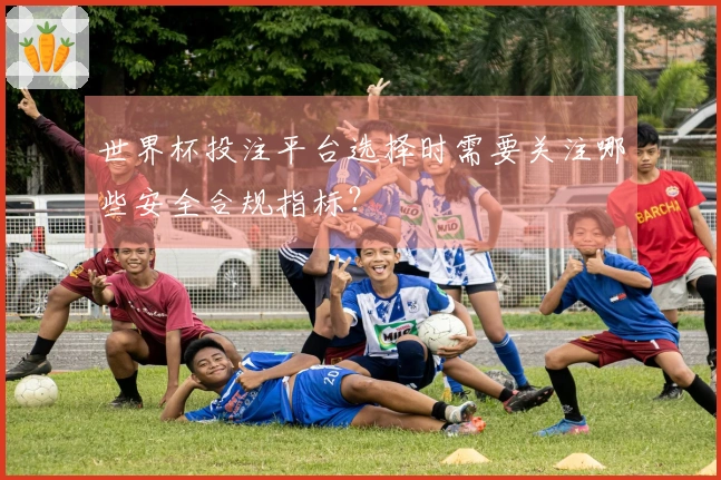 世界杯投注平台选择时需要关注哪些安全合规指标？