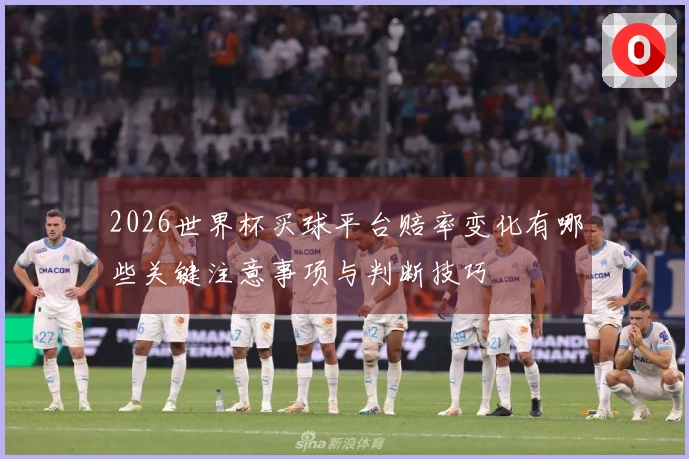 2026世界杯买球平台赔率变化有哪些关键注意事项与判断技巧