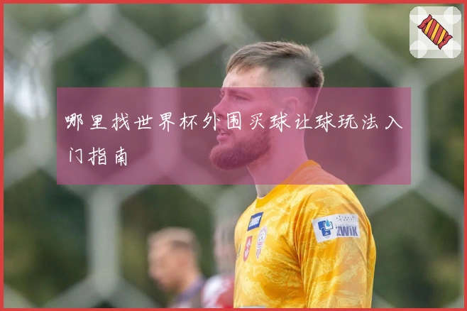 哪里找世界杯外围买球让球玩法入门指南